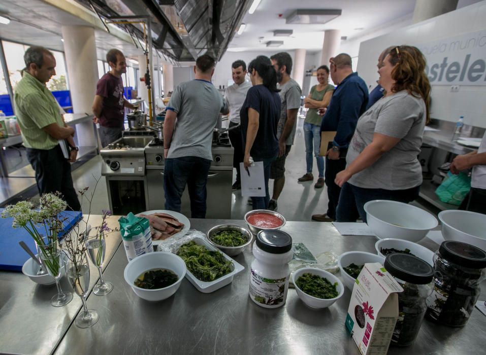 Curso en Elche para cocinar con algas