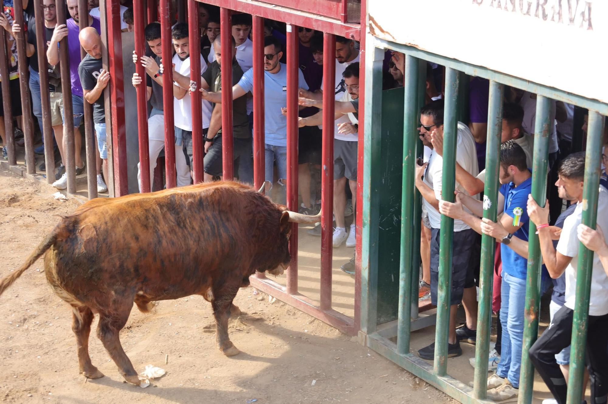 Los mejores momentos de la tarde taurina del martes de fiestas en Almassora