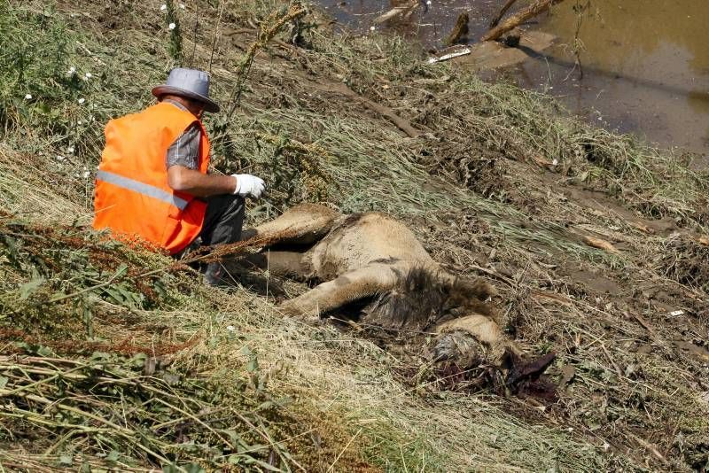 Fotogalería: Los efectos de las inundaciones en Georgia