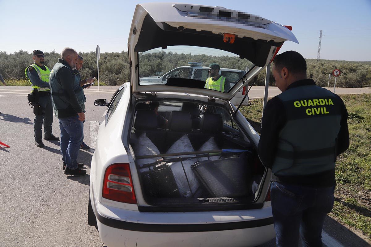 El dispositivo ROCA de la Guardia Civil en acción: control de tráfico y detención por robo de aceituna