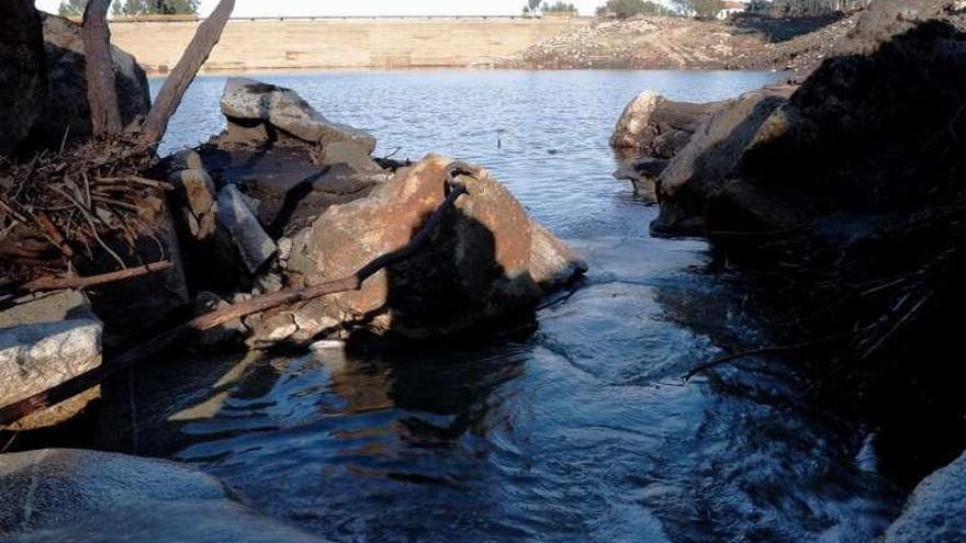 El embalse de Baíña alcanza un mínimo histórico. // Jose Lores