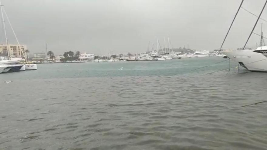 Vertido de aguas fecales en el puerto de Ibiza