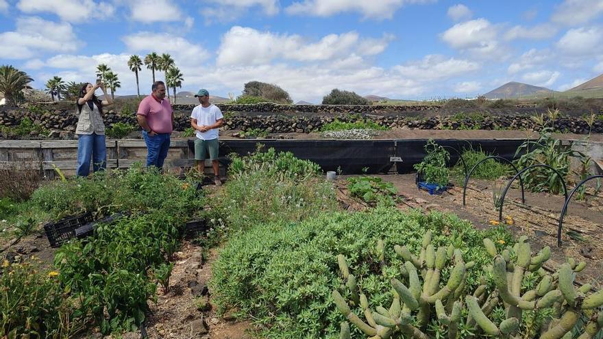 Recuperación de terrenos agrícolas en Lanzarote para impulsar la sostenibilidad y la participación ciudadana