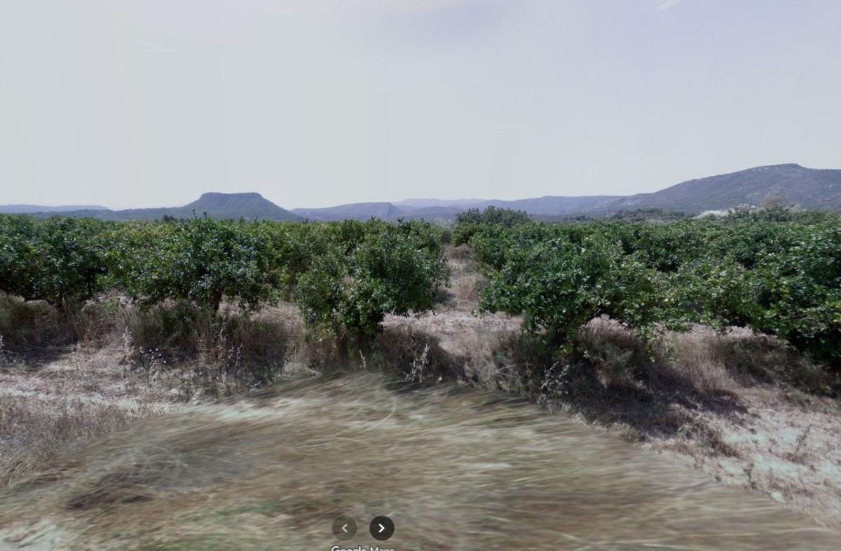 Vista de unos de los huertos próximos donde se instalaría el vertedero de Losa del Obispo.