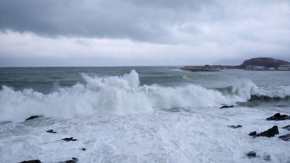 Llevantada a la costa de l'Alt Empordà 1-M