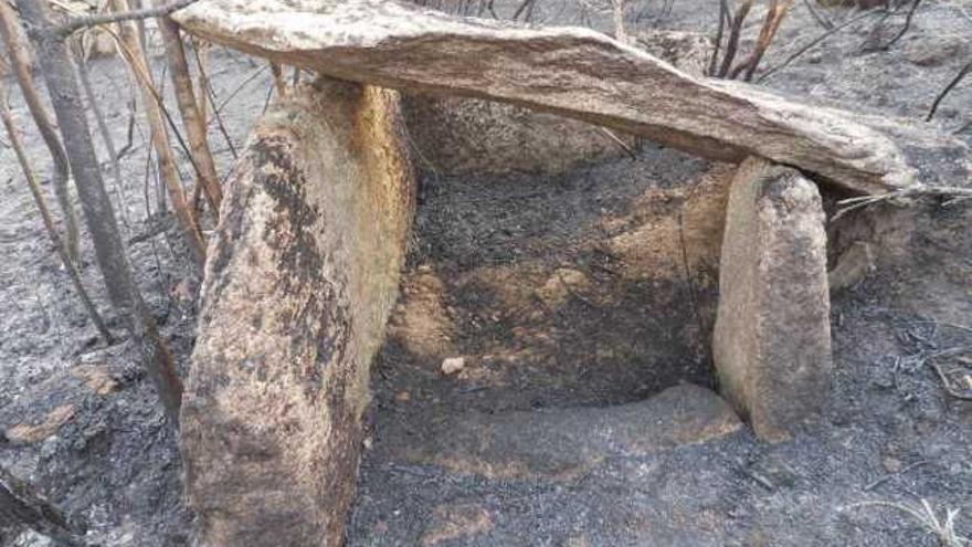 Cista-dolmen catalogado recientemente.  // FdV
