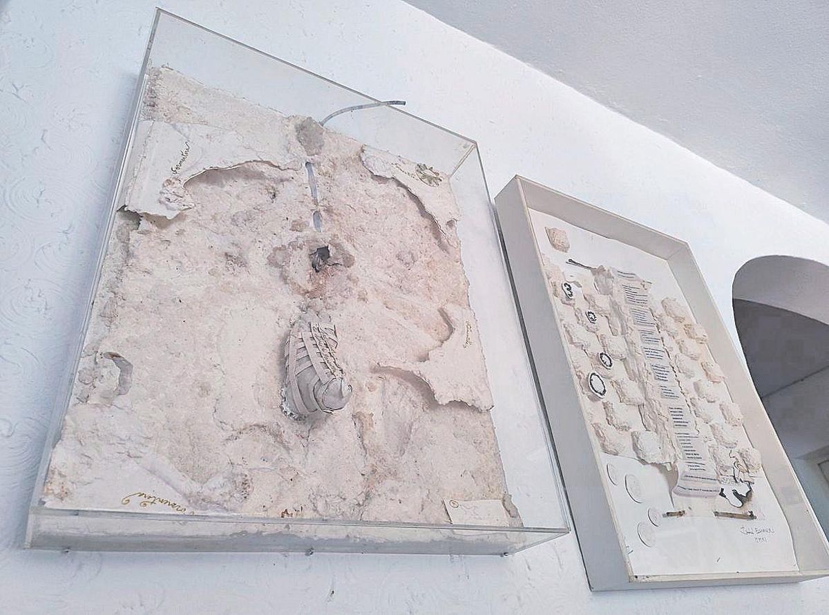 Cuadros de Isabel Echarri.