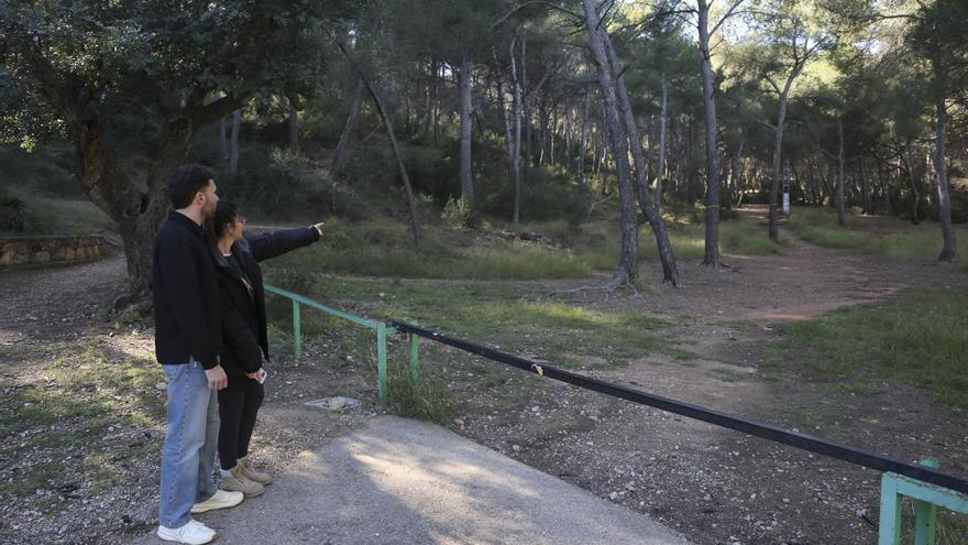 Todo listo para un parque de multiaventura en la Sierra Calderona
