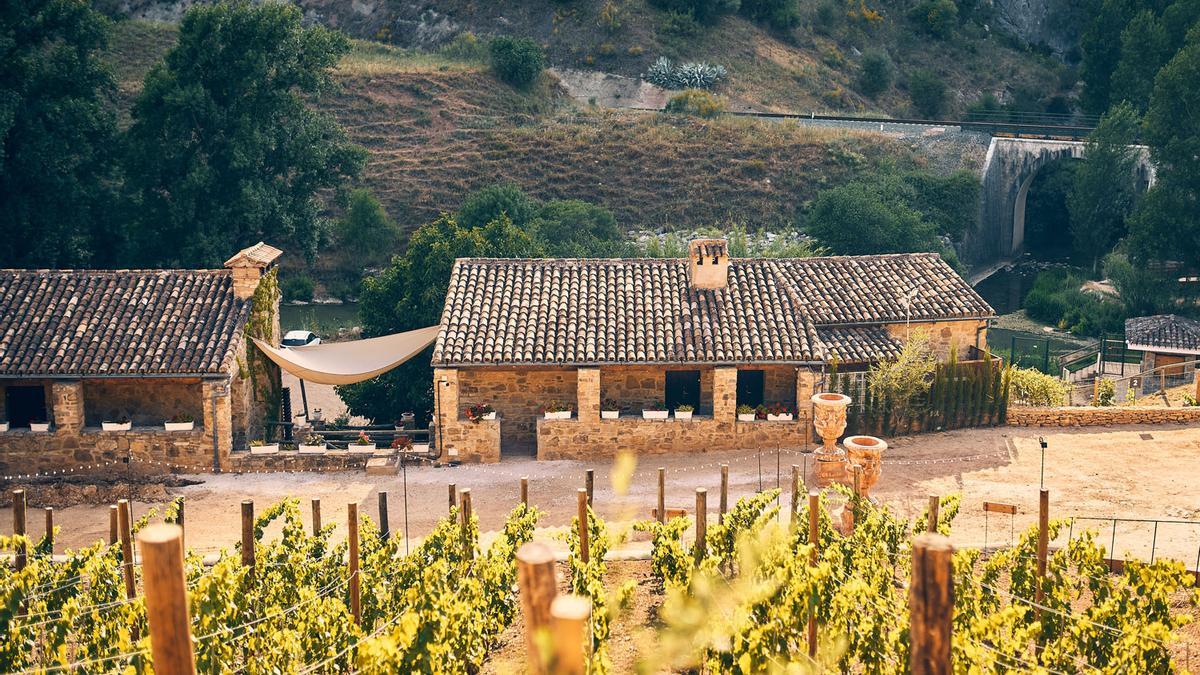 Visita el Hotel Ecológico Cueva del Gato para disfrutar de tus vacaciones  rurales y la gastronomía ecológica