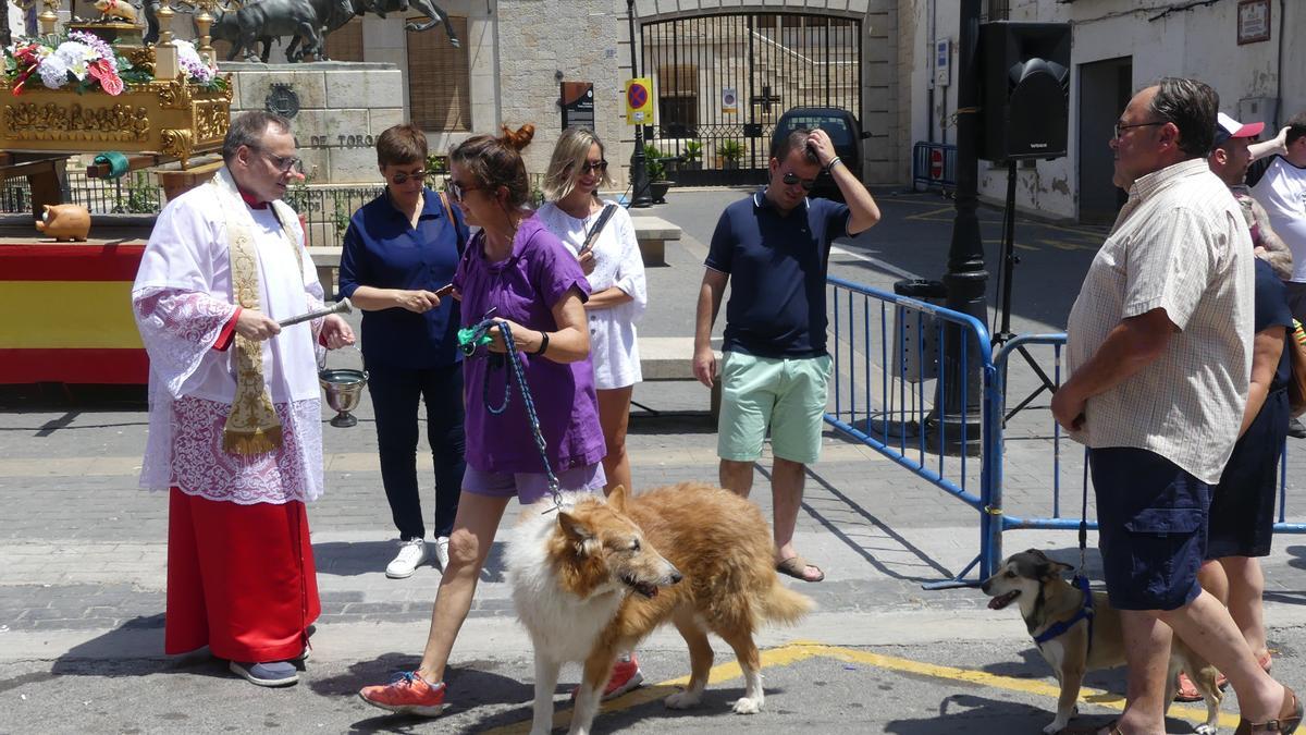 La bendición de animales abrió las fiestas de San Antón.