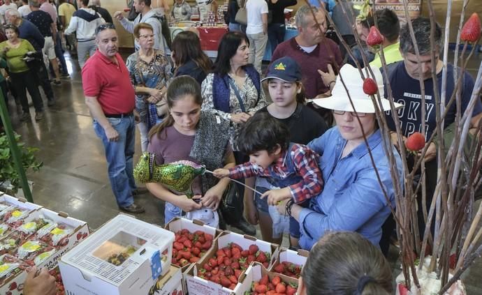 VALSEQUILLO. Feria de la fresa de Valsequillo  | 05/05/2019 | Fotógrafo: José Pérez Curbelo