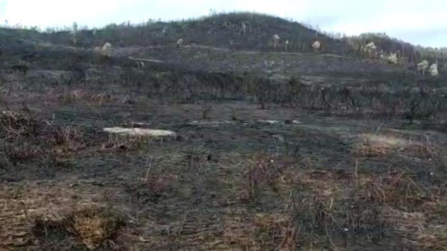 El devastador efecto del fuego en la zona cero de Mondariz