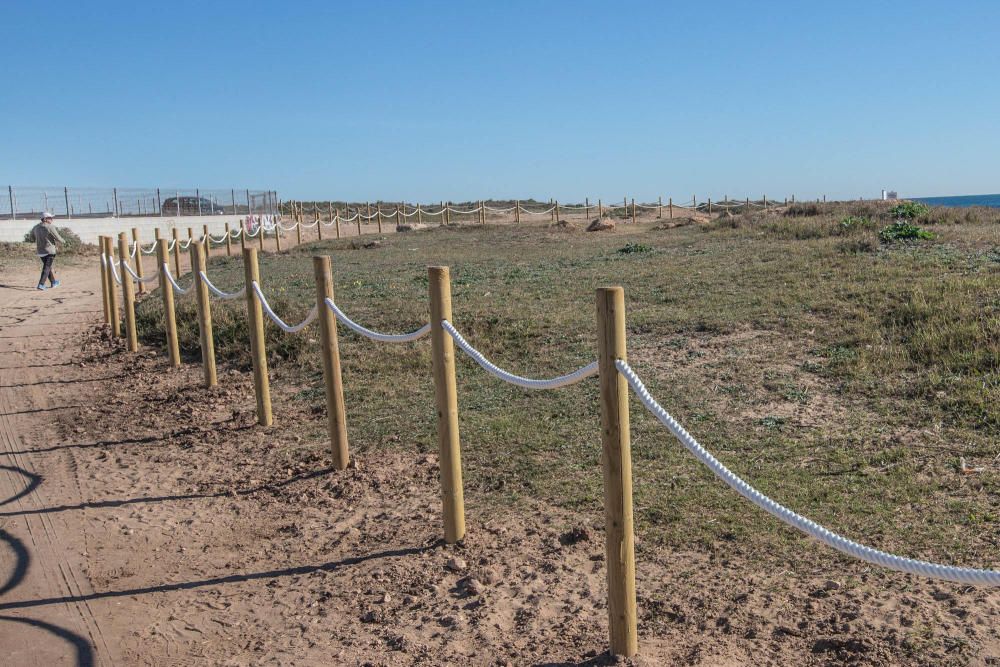 Costas ha realizado un proyecto de regeneración de los restos del cordón dunar de cala Ferrís, además de trabajos de poda y plantación de vegetación autóctona