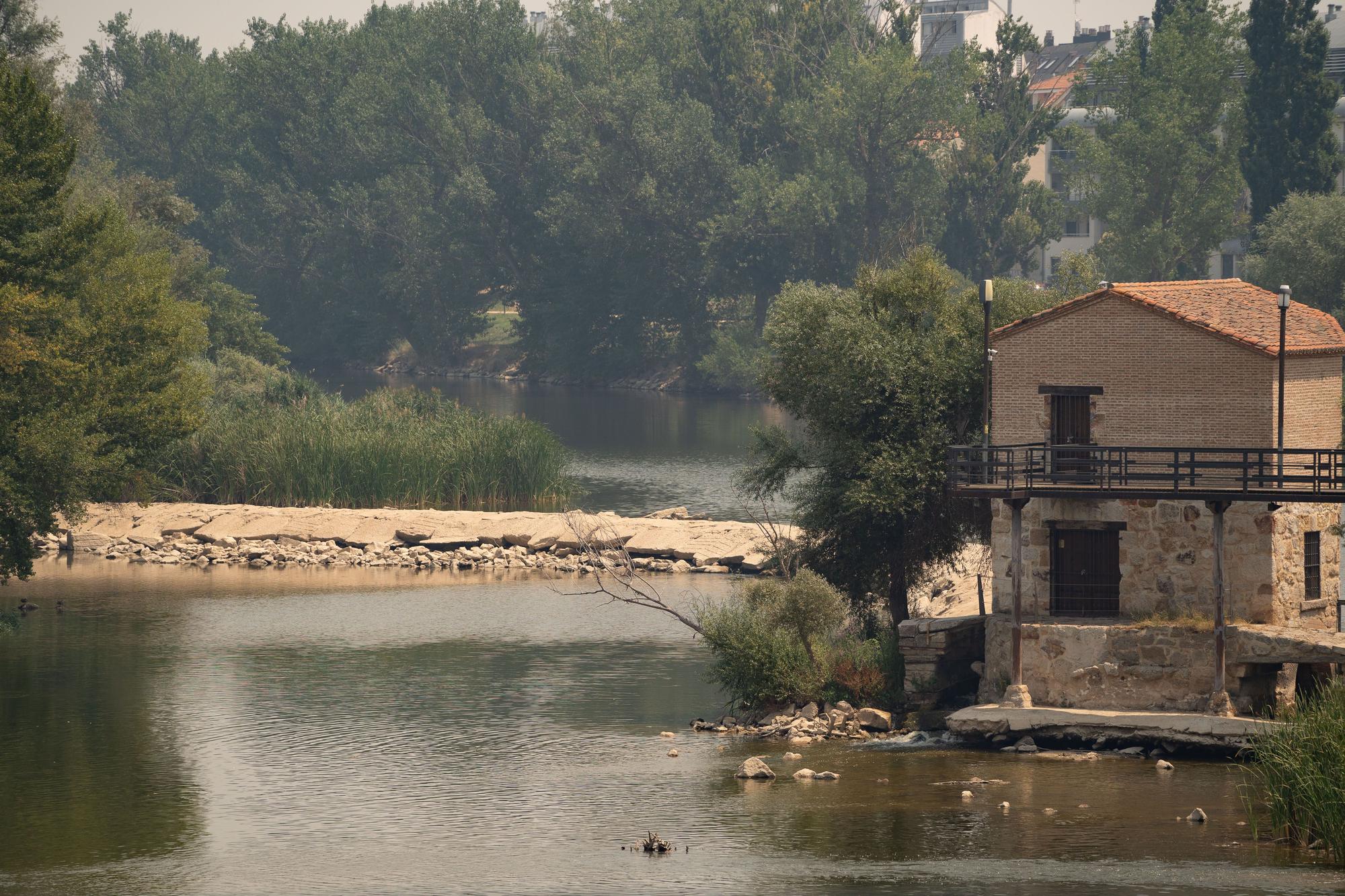 El caudal del río Duero en Zamora, por debajo del nivel ecológico