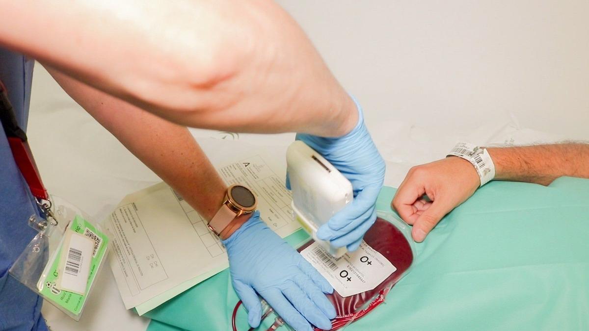 Extracció de sang per a un trasplantament de medul·la.