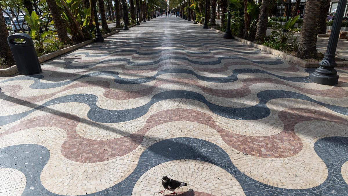 La Explanada de Alicante, cerrada por alerta pero abierta a los selfies