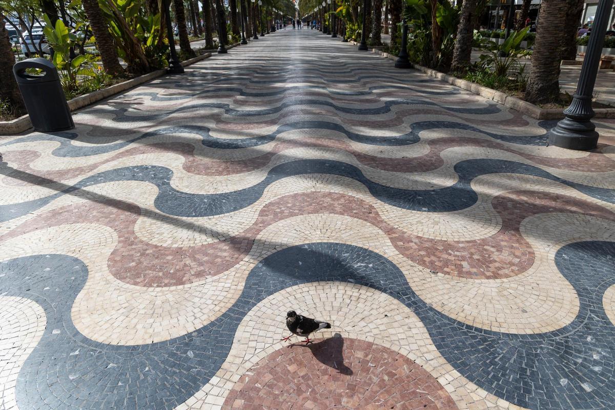 El paseo de la Explanada, sin sillas hasta que se renueve el contrato de zonas verdes en Alicante, en una imagen reciente.