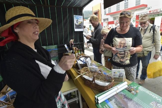 Día del turista en la "Ruta del almendrero en ...