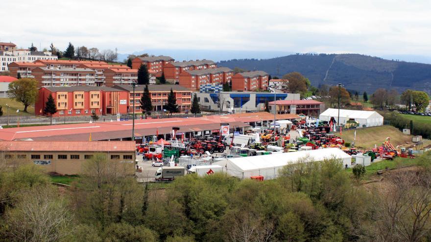 Vista general de la Feria de Muestras de Tineo. | lne