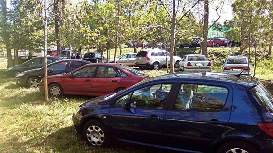 Los automóviles se introducen por los caminos peatonales del bosque para buscar aparcamiento.