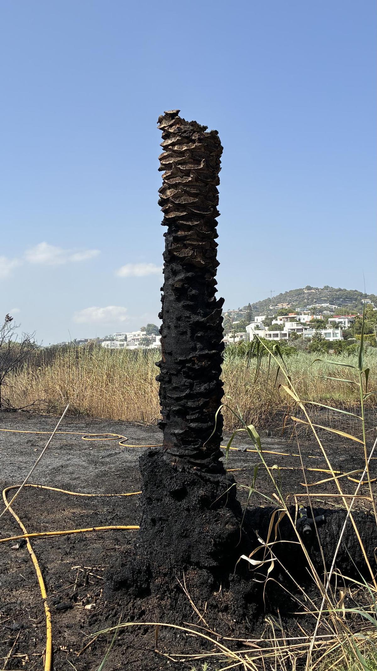 El operativo de emergencias localiza el origen del incendio de ses Feixes des Prat de ses Monges de Ibiza