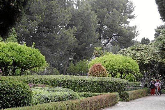 In den Jardines von Marivent: alte Bäume, organische Formschnitte und viel Grün. Ein botanischer Rundgang mit der Gartenarchitektin Erika Könn.