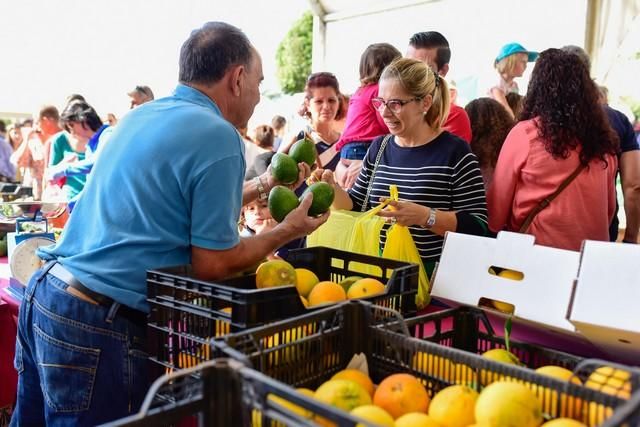 II Feria del Aguacate en Arguineguín