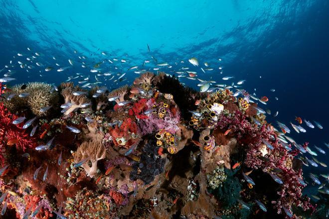 Raja Ampat, Indonesia