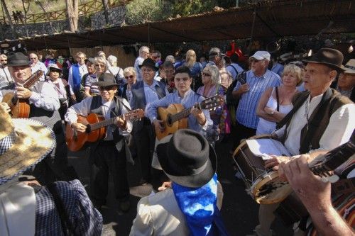 Fiesta del Almendro en Flor 2014