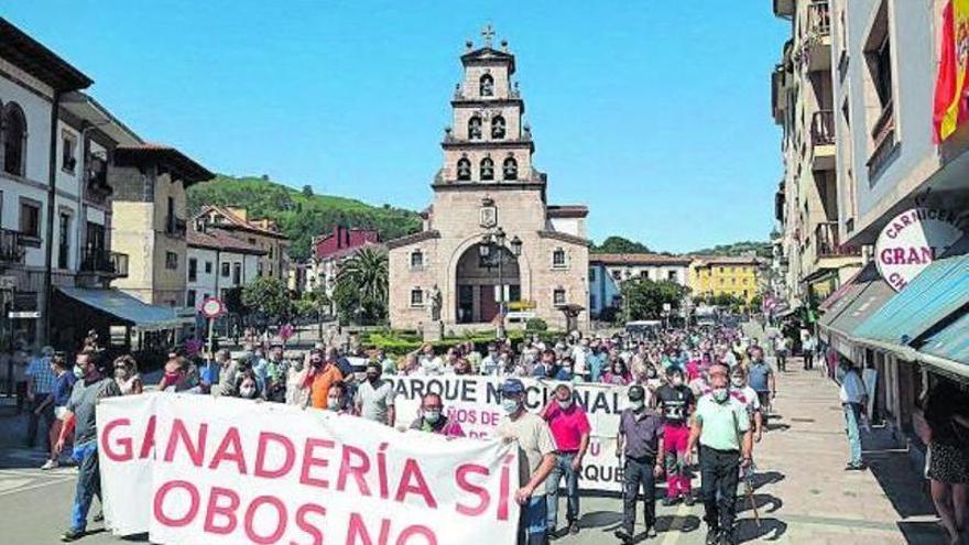 Barbón: "Lo inteligente sería llevar el plan asturiano del lobo a todo el país" - Vimarsana News