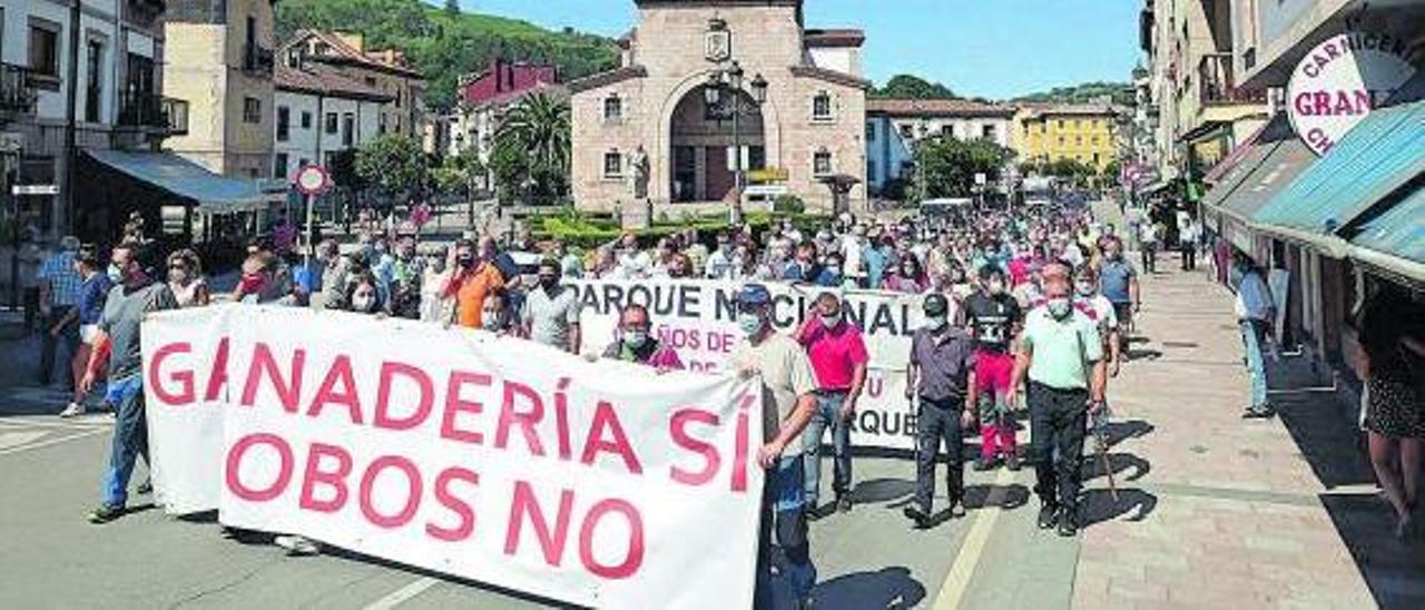 Protesta de los ganaderos contra los daños del lobo en Cangas de Onís. | E. S. R.