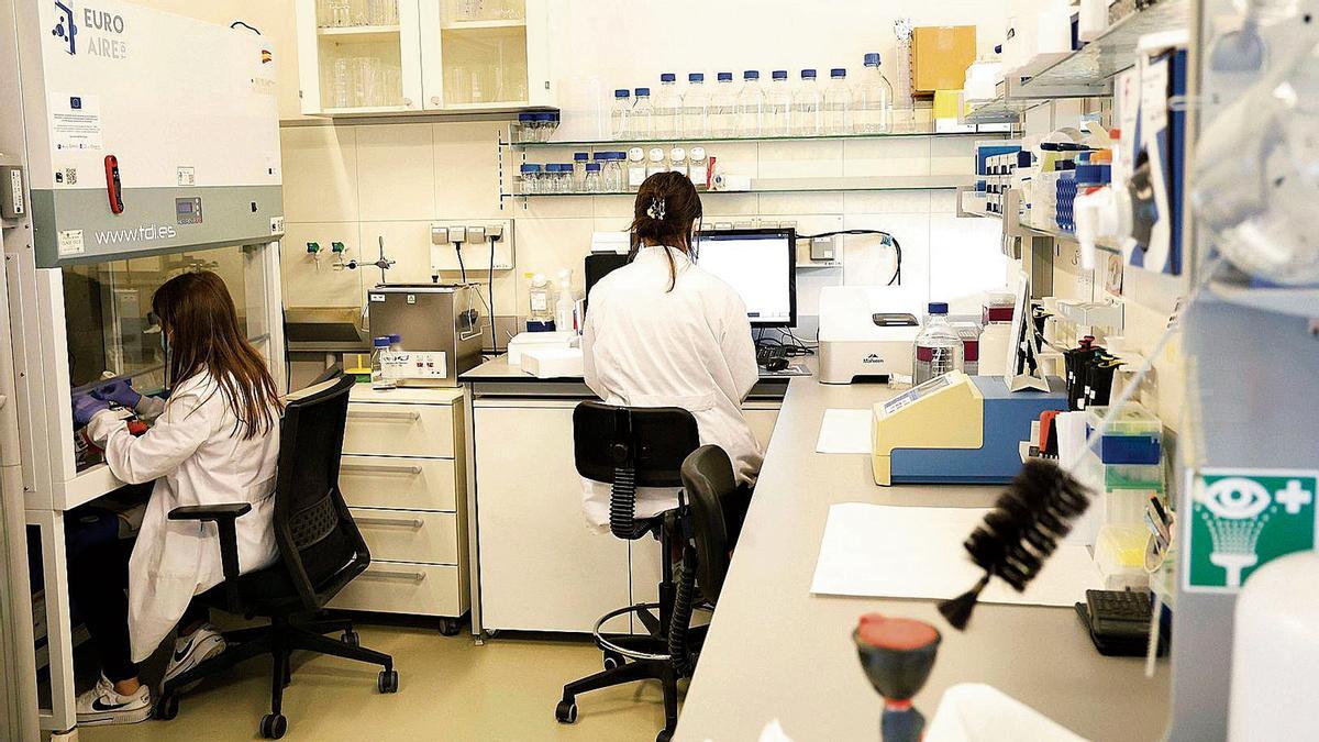 Laboratorio de Libera Bio en el edificio Emprendia de la USC, donde trabaja a diario una decena de personas en la búsqueda de fármacos innovadores y de nanotecnología para transportarlos por el cuerpo.
