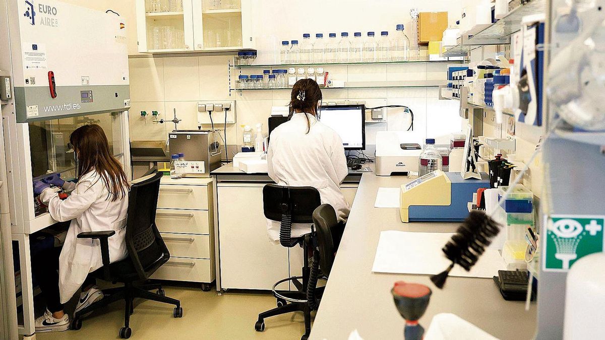 Laboratorio de Libera Bio en el edificio Emprendia de la USC, donde trabaja a diario una decena de personas en la búsqueda de fármacos innovadores y de nanotecnología para transportarlos por el cuerpo.
