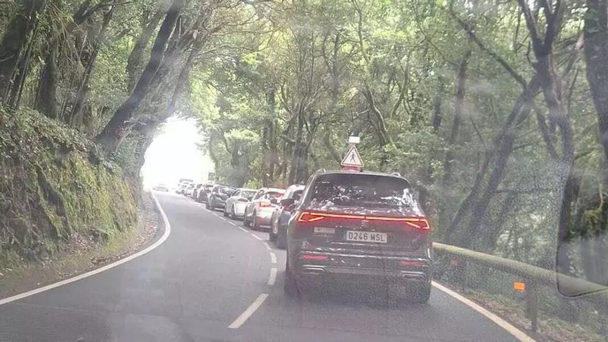 Nuevas colas en Anaga