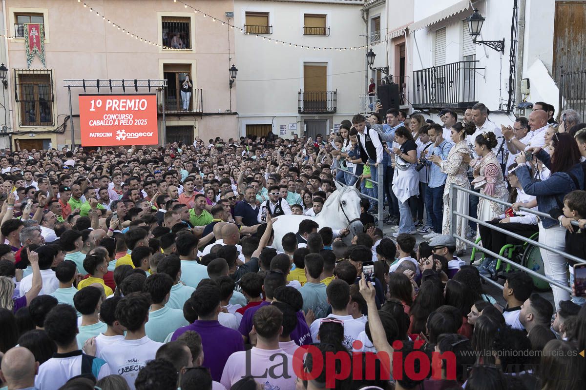 Fiestas de Caravaca | Entrega de premios del concurso morfológico
