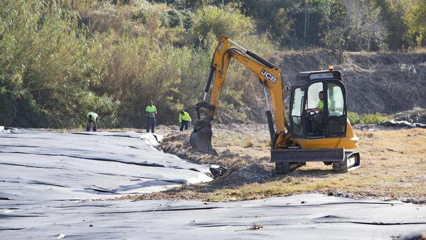 Recuperación del bosque de ribera en el río Albaida