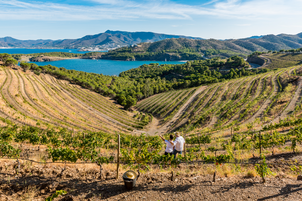 Vistes de Colera des de la Finca Garbet Vistes de Colera des de la Finca Garbet