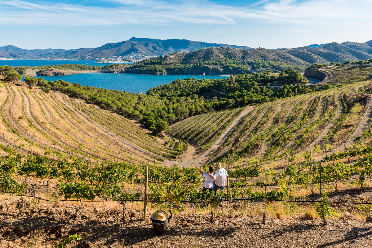 Vistes de Colera des de la Finca Garbet