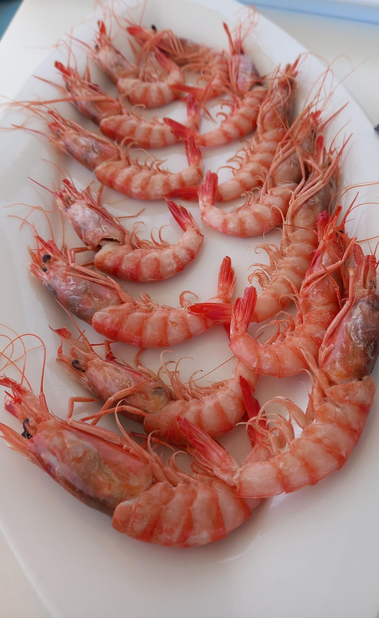 Gamba roja de Ibiza.