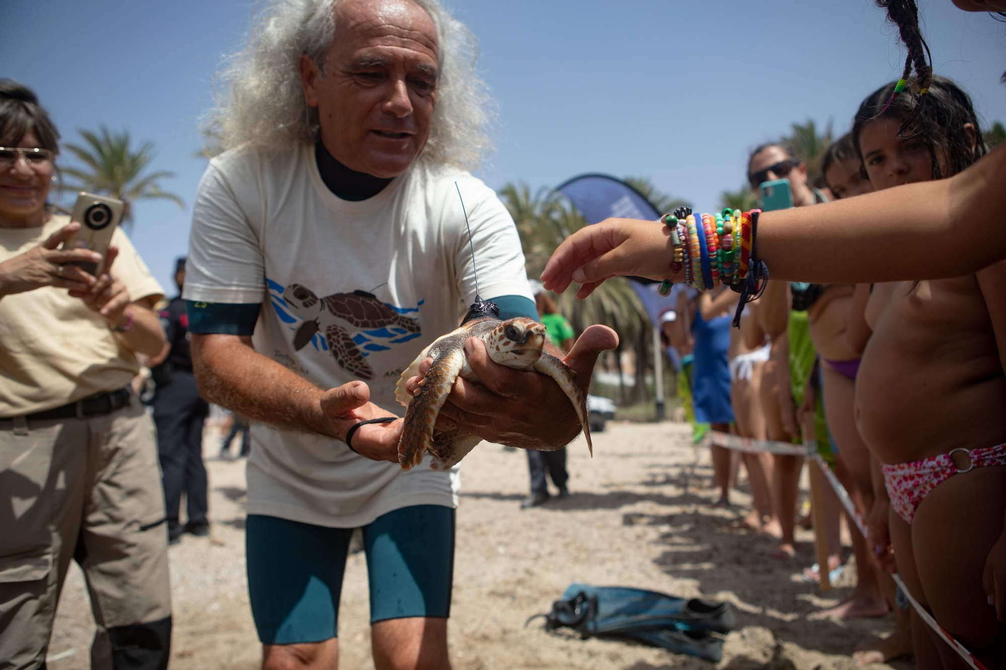 Sueltan 21 tortugas bobas en su hábitat natural en Isla Plana