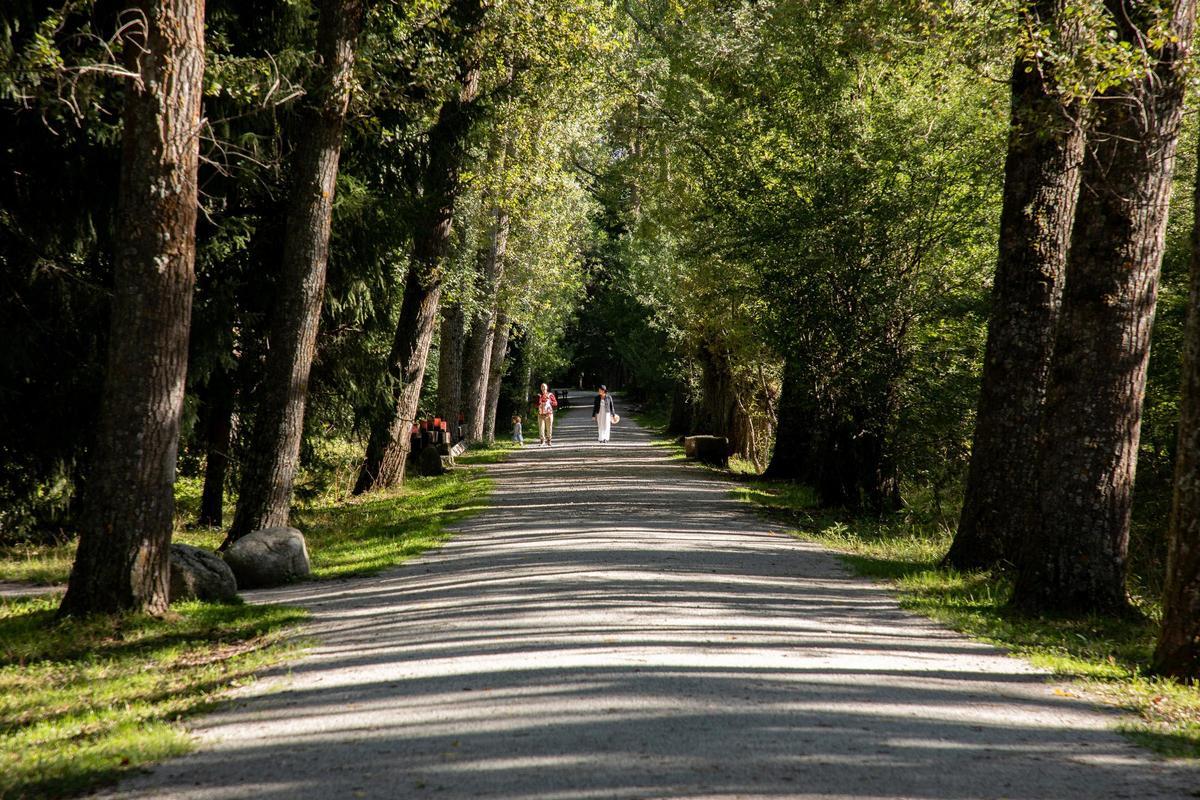 Archivo - Un camino el día que da comienzo el otoño 2023, en el Bosque Finlandés, a 20 de septiembre de 2023, en Rascafría, Madrid (España).