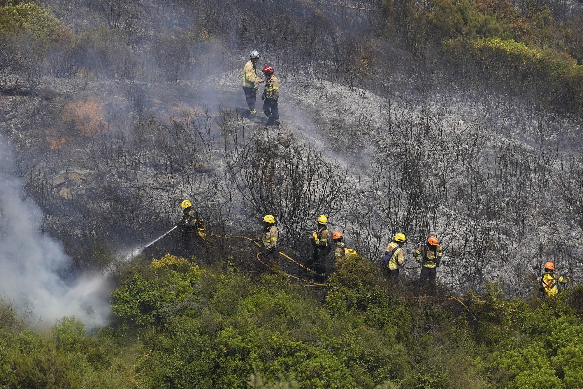 Girona zona boscosa font de la pólvora sant Daniel incendi forestal