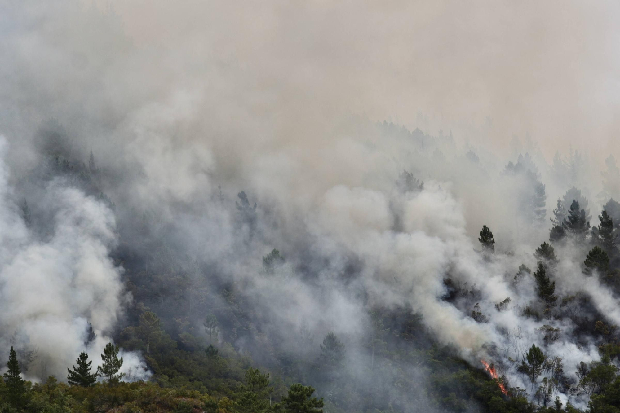 EN IMÁGENES: La evolución del incendio de Ibias