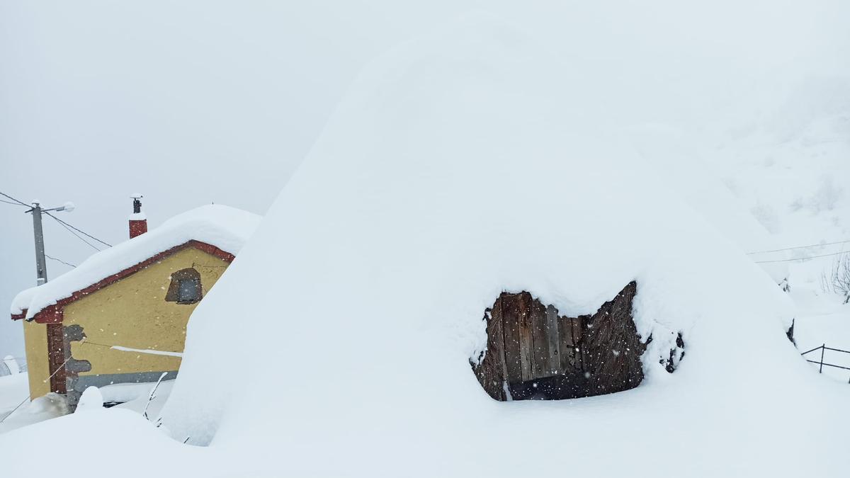 Teito bajo nieve en Somiedo, esta mañana.