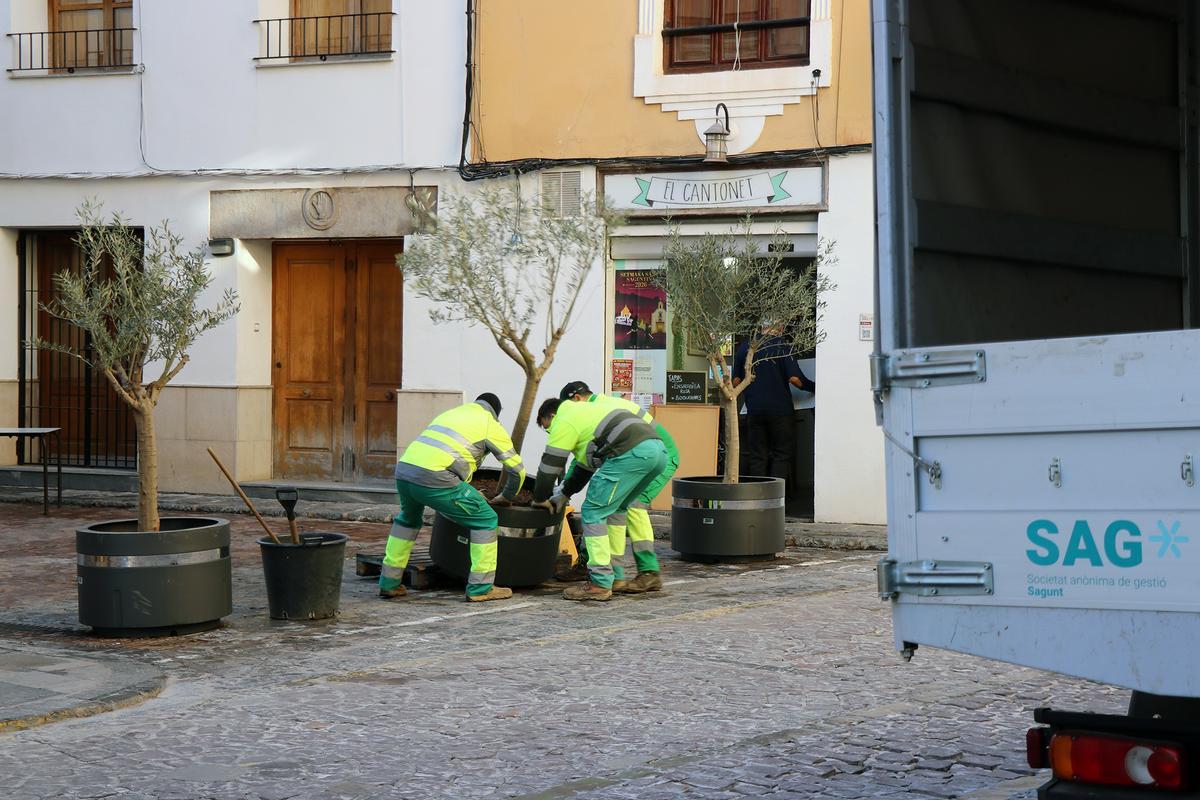 Operarios de la SAG con un macetero.