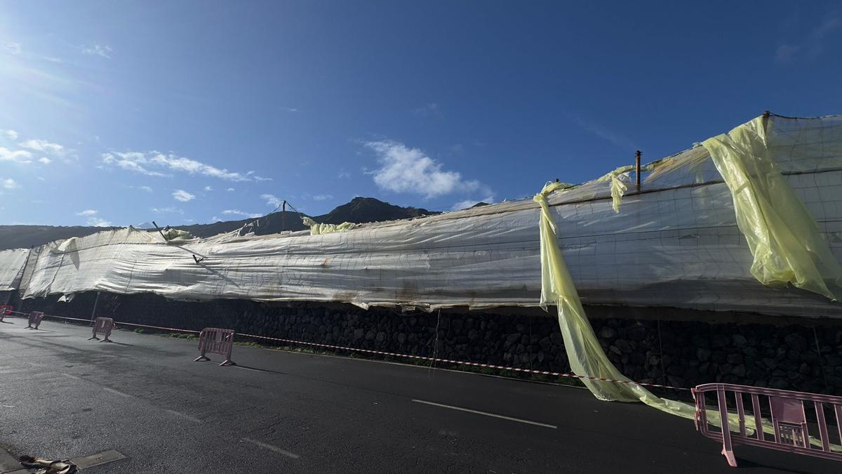 La malla del invernadero de Los Silos rota por el viento