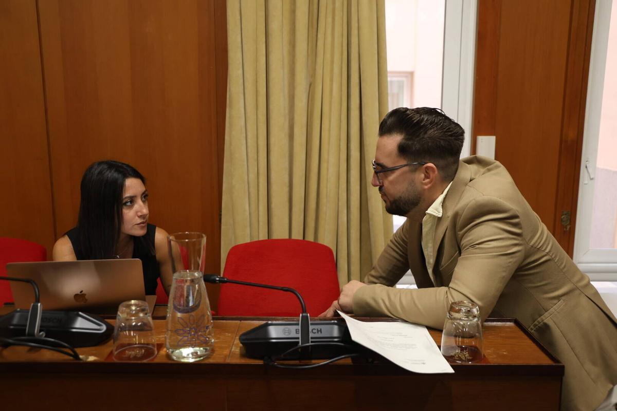 Pleno 23 de Julio ayuntamiento, cordoba