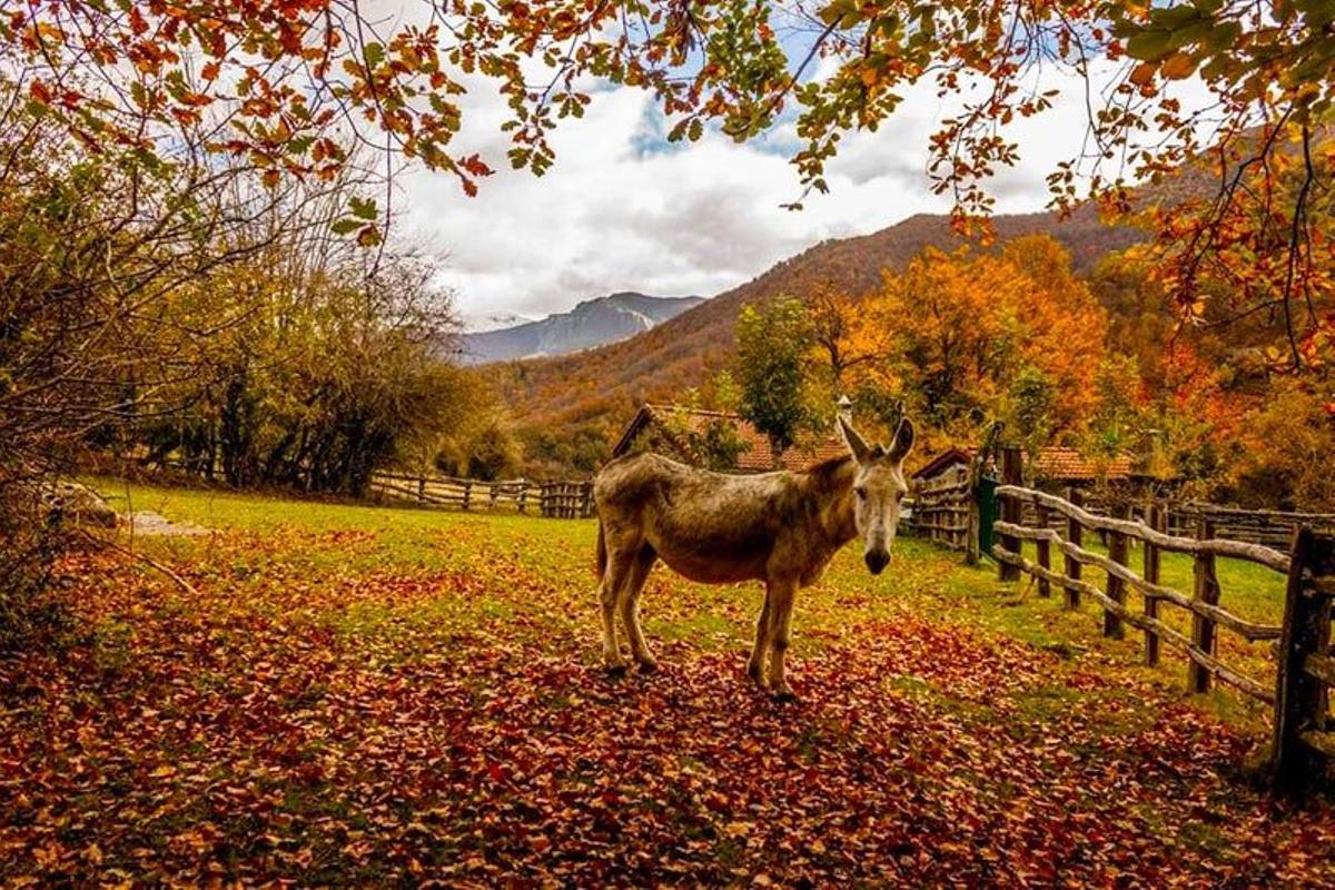 Parque de Redes, en la Ruta a  Vega Pociello