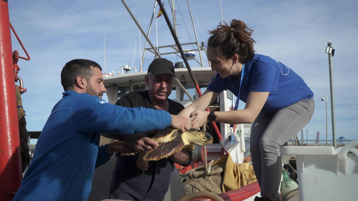 Entrega de tortuga dels pescadors.