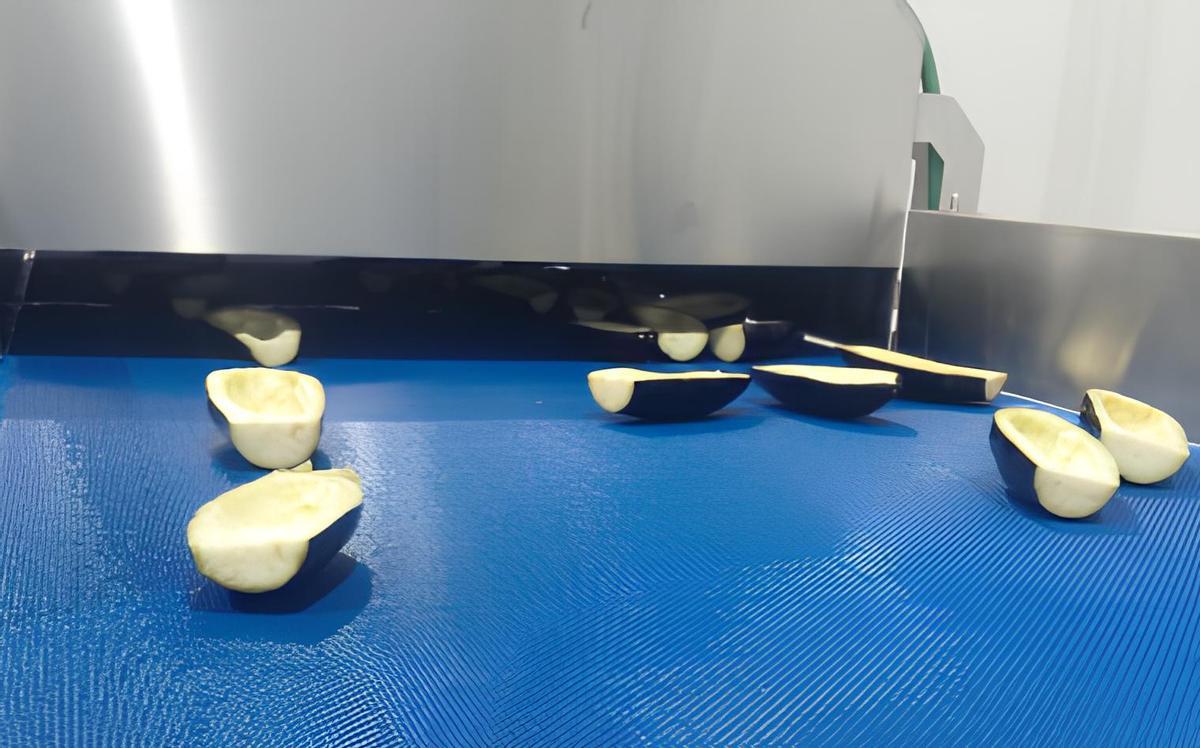 Barcas de berenjenas.